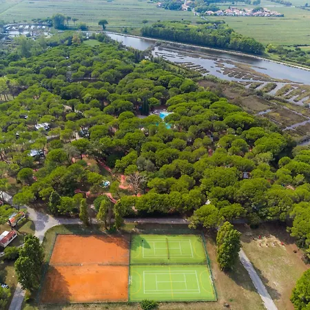 Gelso - Gdo 202 By Interhome